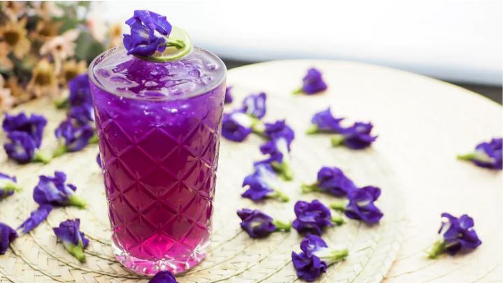 Butterfly Pea Flower Tea Benefits that Will Surprise You - The Tea Cartel