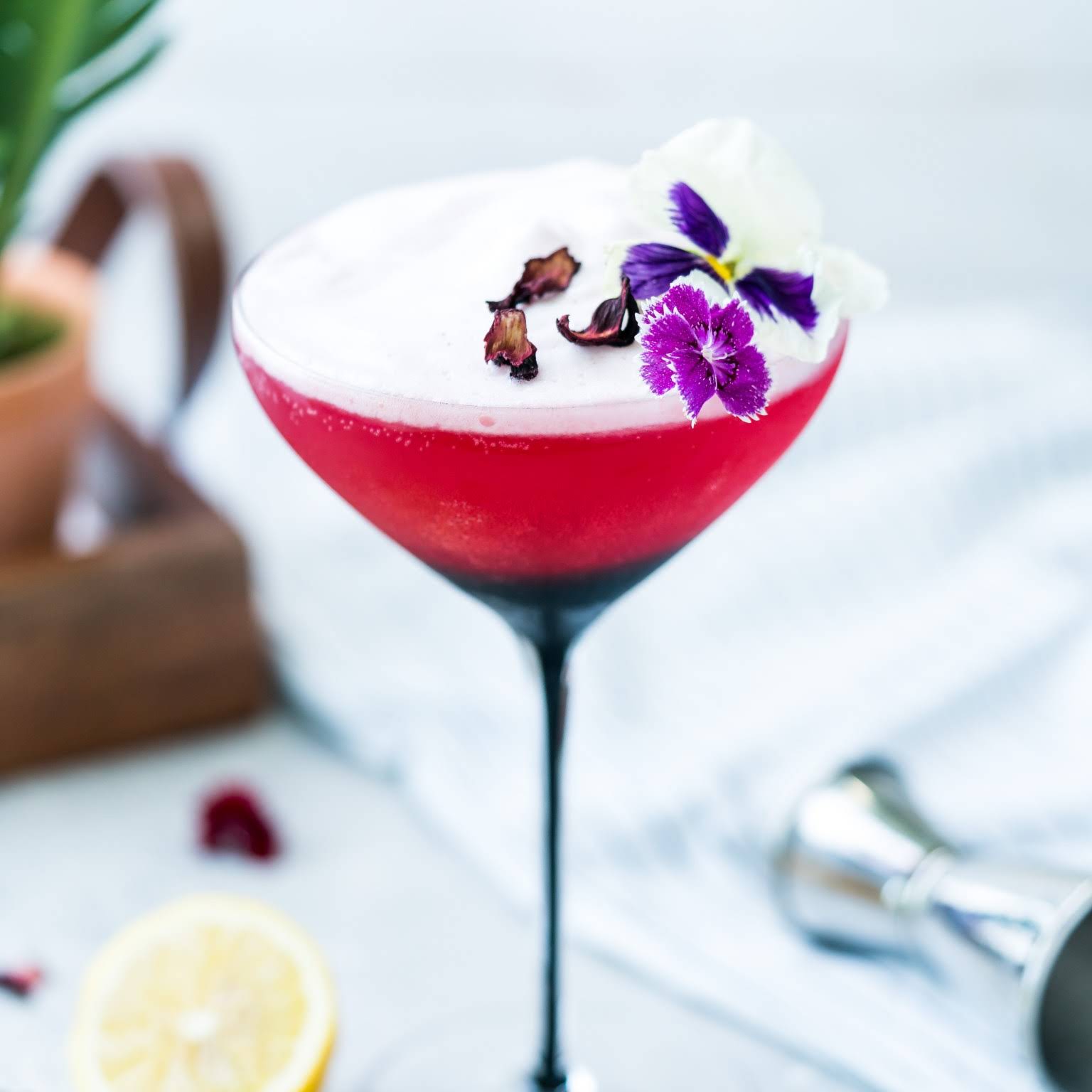 Hibiscus Martini with Gin and Triple Sec - The Tea Cartel